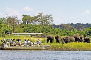 Game drive and boat ride