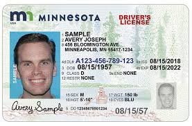 Driver's License