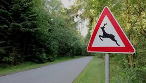 beware of animals