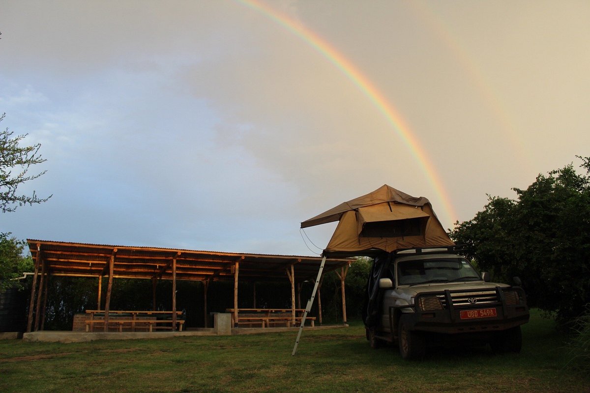 Best Camping Safari Advice for Exploring Uganda's National Parks