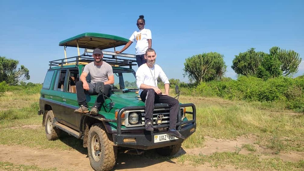 wildllife veiwing cars